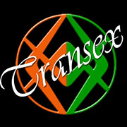www.transexferrara.it